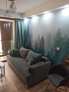 Borovi30 - 0