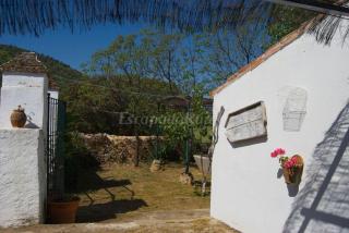 Finca La Vicacaria LIMONERO - Zufre - 5