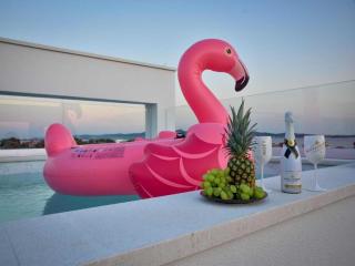 Villa La Perla with pool - Bibinje - 7