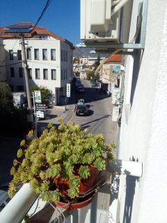 Biba - Mostar - 5