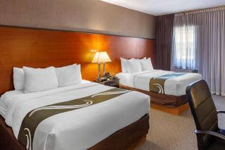 Quality Inn Toronto Airport - Mississauga - 4