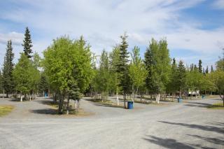 Tok RV Village and Cabins - Tok - 0
