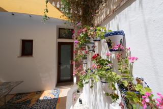 Apartamento Andalucía - Cómpeta - 7