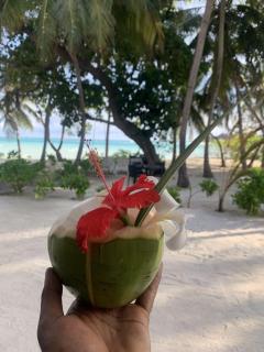 Portia Hotel & Spa - Dhiffushi - 4