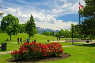 New Contemporary Historical Unit from, 5 Star Host - 3