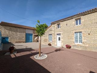 Maison lumineuse avec cour privative, proche sites culturels, tout confort, équipé bébé, wifi inclus - FR-1-653-98 - Puyréaux - 0
