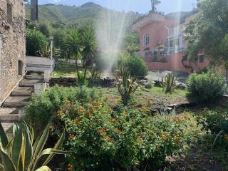 Hotel Pian delle Vigne - Praia a Mare - 9