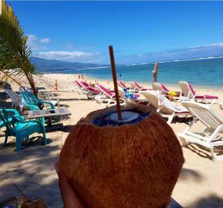 PALMAÉ de Boucan Canot T2 St-Gilles A 200M de la plage - Saint-Gilles-les-Bains - 9