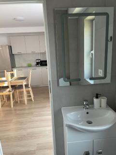 Penthouse DH Apartments - Oradea - 8