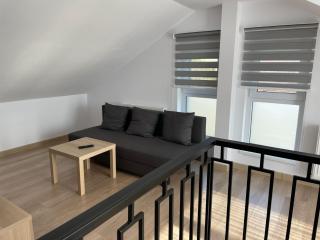 Penthouse DH Apartments - Oradea - 5