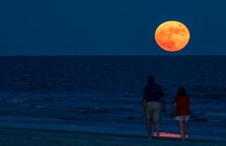 Million Dollar Oceanfront View - 7