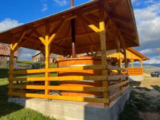 Cabana Trif - Horea - 7