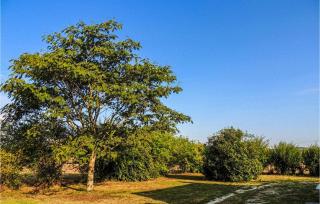 1 Bedroom Cozy Home In St Chamassy - - 9
