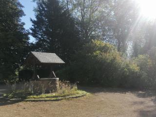 Au regard des biches - 5