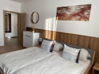 Apartment Petra Klinovec - Loučná pod Klínovcem - 6