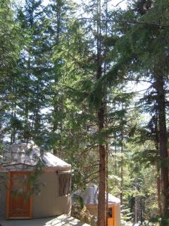Riverside Resort - Whistler - 8