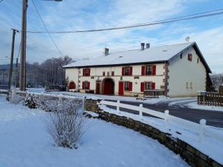 Gîte authentique avec terrasse couverte, 16 km de Gérardmer, 4 chambres, équipement bébé, Wi-Fi inclus - FR-1-589-231 - Aumontzey - 5