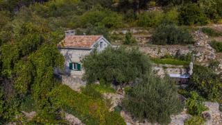 House for rent Didova kuća - Makarska - 0