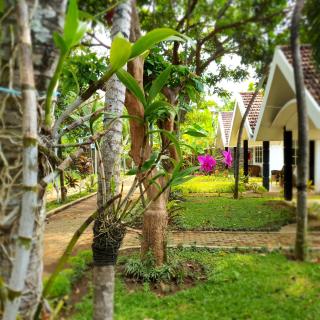 Tengger Guesthouse - Pasuruan - 7