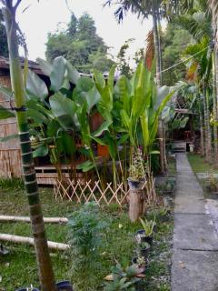 Phoxay Ngam Resort - Vang Vieng - 7