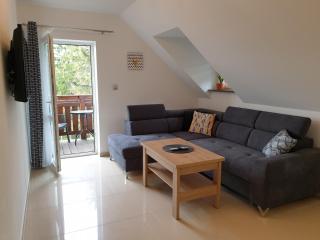 VILLA MILA Apartamenty - Karpacz - 5