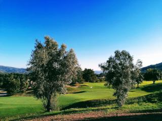 Casa do Golfe by VinteOito - 4