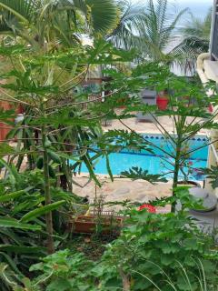 Nidamour, un logement fait pour vous - Saint-Paul - 9