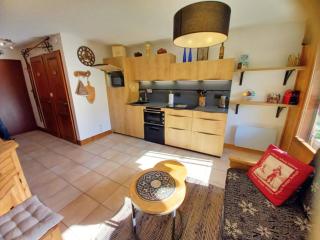 Appartement T3 rénové, lumineux, balcon et parking au centre du village de Samoëns - FR-1-624-73 - Samoëns - 7