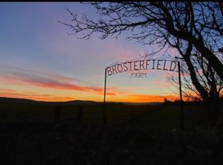 Robin's Nest (Top Cabin) - 1