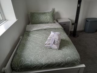 The grand eloquence of beauty - 4