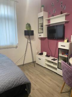 Studio Apartman Jovičić - Bjelovar - 8