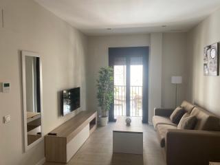 Pinar Malaga Centro C/Alvarez - Málaga - 3