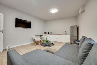 Central Platinum Apartments 22 - Rybnik - 0