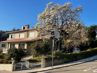 Santiago Family House - Sever do Vouga - 5