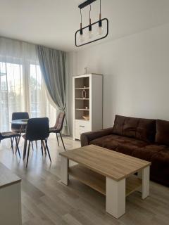 Divany Apartaments - Coresi Mall - Braşov - 9