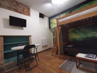 La Maison bleue, un emplacement de choix à Rodez - Rodez - 6