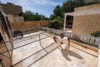 Bliss Boutique Living - Xagħra - 4