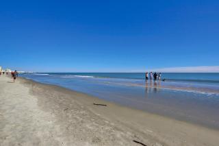 Cinzia Lane Bungalow - Myrtle Beach - 1