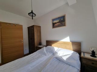 Apartman Srebrena Vila 9 - 3