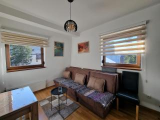 Apartman Srebrena Vila 9 - 7