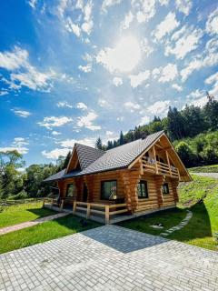 Wild tree house - Vărşag - 0