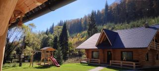 Wild tree house - Vărşag - 1