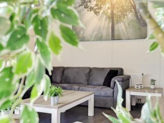 Attractive holiday home in Noordwolde with sauna - 3