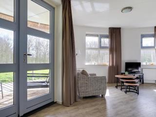 Unique holiday home in Noordwolde with garden - 2