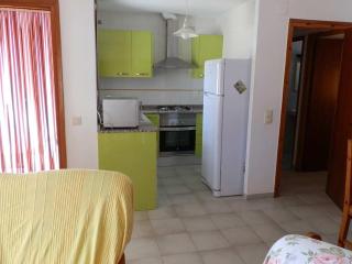 Casa cerca del mar, wifi gratuito, aire opcional, piscina, mascotas aceptadas, playa para perros - ES-184-6 - Riumar - 6