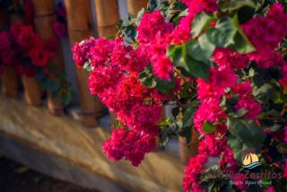 Tika Zorritos - Departamento de Playa - 7