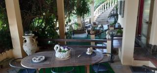 la casa del glicine - 8