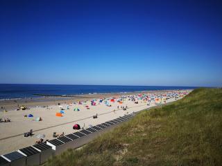 Vakantiehuis Domburg 100 meter van het strand - veel privacy - eigen parkeerplaats. - Domburg - 9
