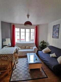 Appartement spacieux et agréable - Saint-Brieuc - 4