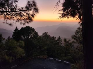 Mountain Golden Ray - Mukteshwar - 0